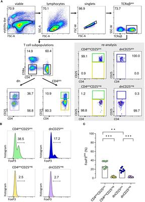 Distinct characteristics of unique immunoregulatory canine non-conventional TCRαβpos CD4negCD8αneg double-negative T cell subpopulations